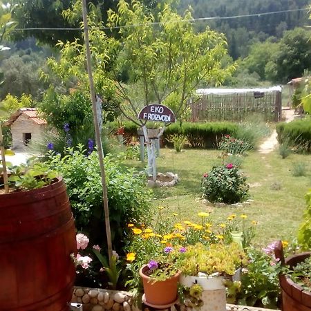Apartman Rosa Apartment Skradin Luaran gambar
